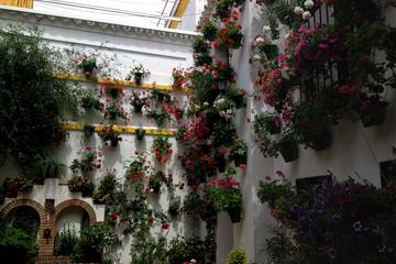 Cordoba Small-Group Day Tour from Seville