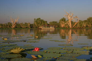 Corroboree Billabong Wetland Cruise