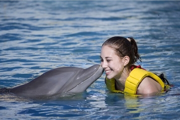 Cozumel Dolphin Trainer for a Day Program