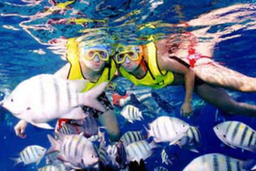 Cozumel Scenic Drive and Snorkeling with Ferry from Playa del Carmen