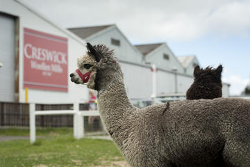 Creswick Woollen Mills Tour
