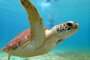 Culebra Day Trip from Vieques