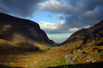Cultural Tour Including The Gap of Dunloe Experience from Killarney