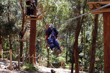 Currumbin Wildlife Sanctuary: Green Challenge Zipline Canopy Tour