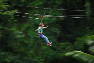 Daintree Rainforest Zipline and Wildlife Habitat Day Trip