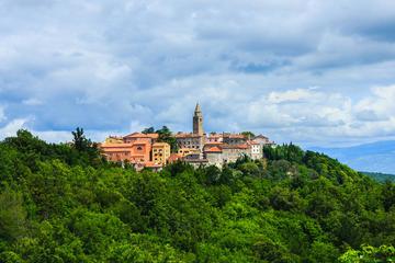 Day-Tour Around Medieval Istria