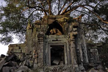 Day Trip to Beng Mealea Temple and Kampong Kleang from Siem Reap