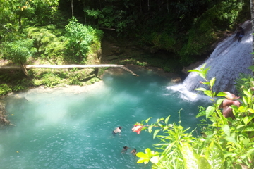 Day Trip to Blue Hole and Dunn's River Falls from Falmouth