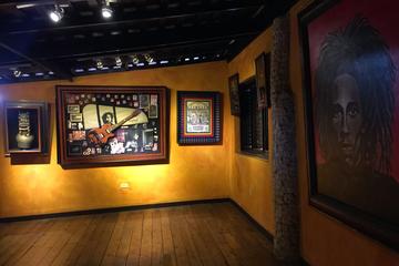 Day Trip to Bob Marley's Nine Mile from Falmouth
