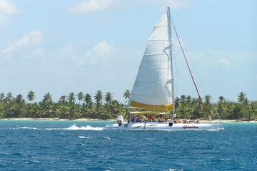 Day Trip to Saona Island and Altos de Chavon