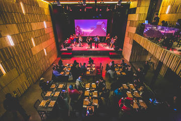 De Pablo a Violeta Dinner and Show in Santiago