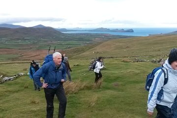 Dingle Day Tour from Killarney