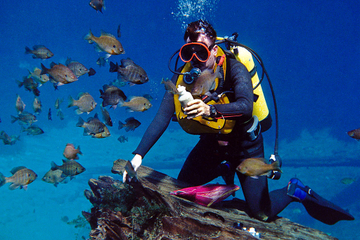 Discovery Diving Adventure from Split