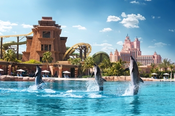 Dolphin Experience at Atlantis The Palm in Dubai