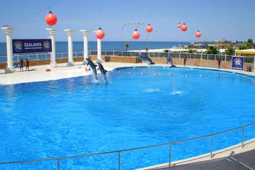 Dolphin Show at Sealanya from Alanya