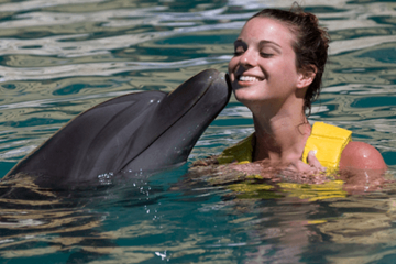 Dolphin Swim in Cancun
