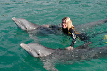 Dolphin Swim in Freeport