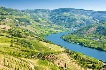 Douro City Tour Amarante Peso da Regua Pinhao Vila Real