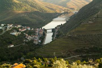 Douro Experience Private Tour