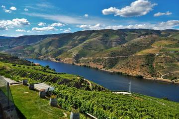 Douro Valley Guided Private Tour from Porto