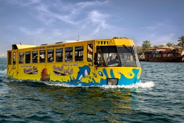 Dubai Tour by Land and Water