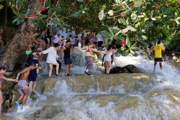 Dunn's River Falls and Fern Gully Highlight Adventure Tour from Falmouth