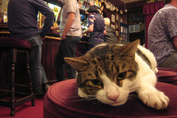 East End Pub Walking Tour in London