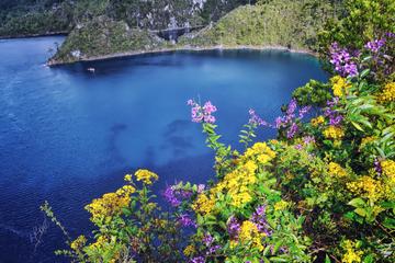 El Chiflón Waterfalls and Montebello Lakes National Park Day Trip