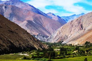 Elqui Valley Tour from La Serena