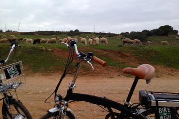 Environmental Park Bike Tour from Vilamoura