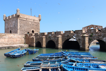 Essaouira 1 Day Trip from Agadir