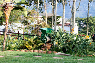 Express Coffee Farm Experience