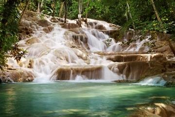 Falmouth Shore Excursion: Dunn's River Falls and Horseback Riding Combination Tour