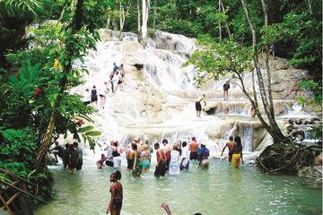 Falmouth Shore Excursion: Dunn's River Falls and White River Tubing