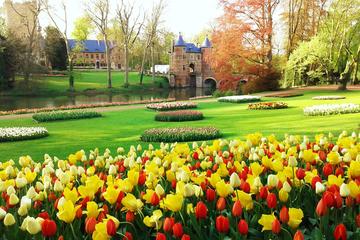 Floralia Brussels Flower Exhibiton at the Castle of Groot-Bijgaarden