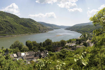 Frankfurt Super Saver: City Highlights Tour plus Rhine Valley Cruise and Wine Tasting