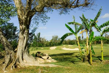 Freeport Shore Excursion: Lucayan National Park Tour