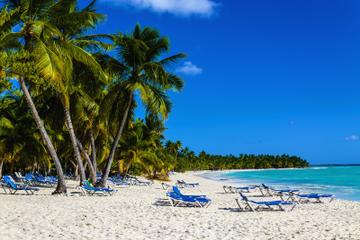 Freeport Shore Excursion: Paradise Cove Beach Snorkeling Tour