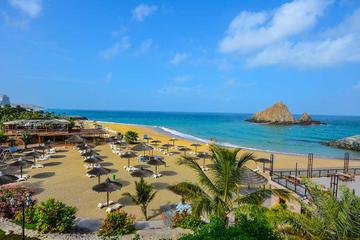 Full Day East Coast Tour Including Snorkeling And Lunch