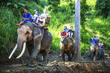 Full Day Elephant Ride and Rafting Adventure Combo from Chiang Mai