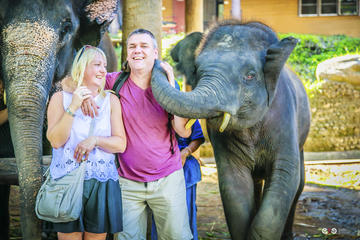 Full-Day Elephant Safari At Mae Rim Training Camp From Chiang Mai