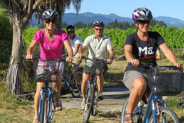Full-Day Marlborough Wine Region Guided Bike Tour