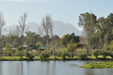 Full-Day Photoshoot Experience on the Spier Wine Estate with Wine Tasting