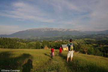 Full-Day Private Walking Tour in the Carpathian Villages from Bucharest