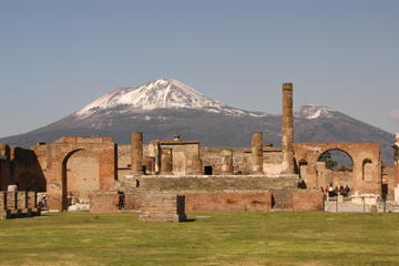 Full Day Small Group Pompeii Tour from Sorrento with Local Wine Tasting