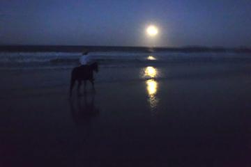 Full Moon Horse Ride at Rainbow Beach