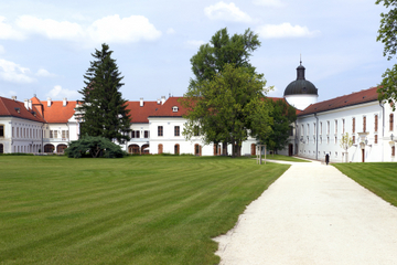 Godollo Palace and Traditional Farm Trip with Horse Show and Carriage Ride