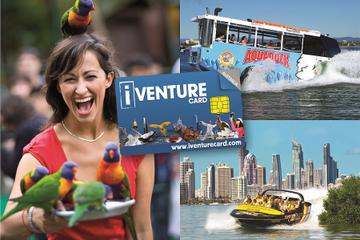Gold Coast and Brisbane Attraction Pass Including Currumbin Wildlife Sanctuary and Lone Pine Koala Sanctuary