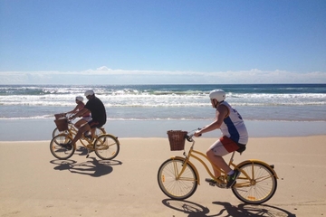 Gold Coast Bike Tour from Surfers Paradise