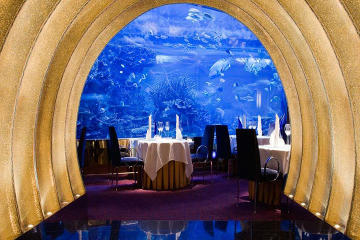 Gourmet Dinner at Al Mahara in Burj Al-Arab in Dubai with Private Transfers